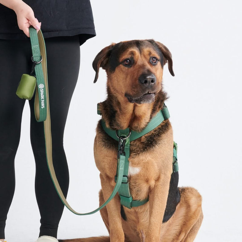 Leash and Poop Bag Holder Set - Army Green