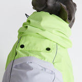 Dog Raincoat - Neon White Navy