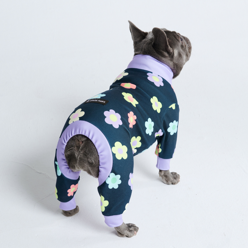 Dog Pajama - Daisy Navy