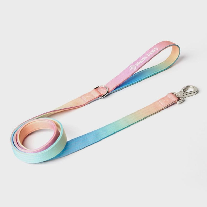 Leash and Poop Bag Holder Set - Pastel Icing