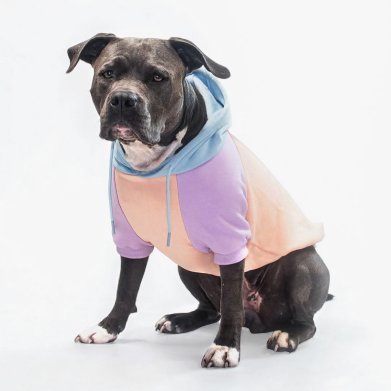 Cotton Candy Hoodie||size:3XL