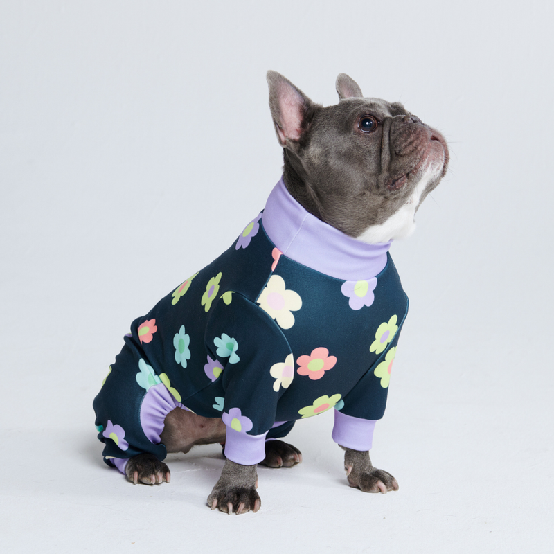 Dog Pajama - Daisy Navy