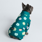 Dog Pajama - Daisy Green