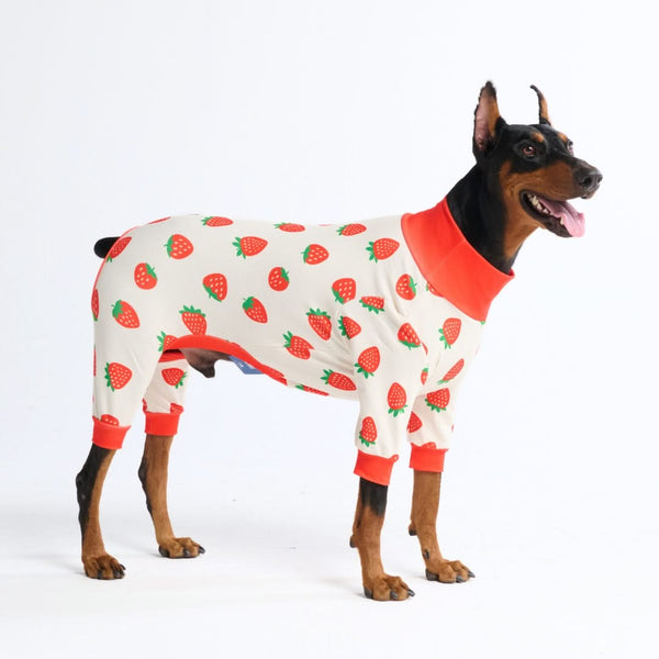 Dog Pajama - Strawberries