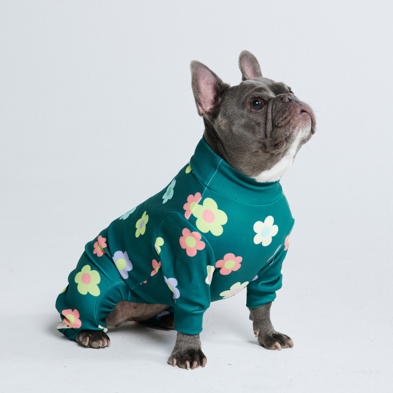 Dog Pajama - Daisy Green