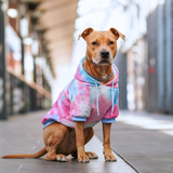 Velvet Snow cone Hoodie||size:S,M,L,XL,2XL,3XL,4XL,5XL
