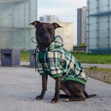 Green Plaid Dog Hoodie