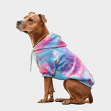 Velvet Dog Hoodie - Snow Cone