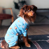 Dog Pajama - Breakfast Blue