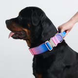 Comfort Control Collar - Snow Cone