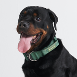 Comfort Control Collar Set - Army Green