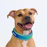 Lime Wave Collar||size:C,D,E