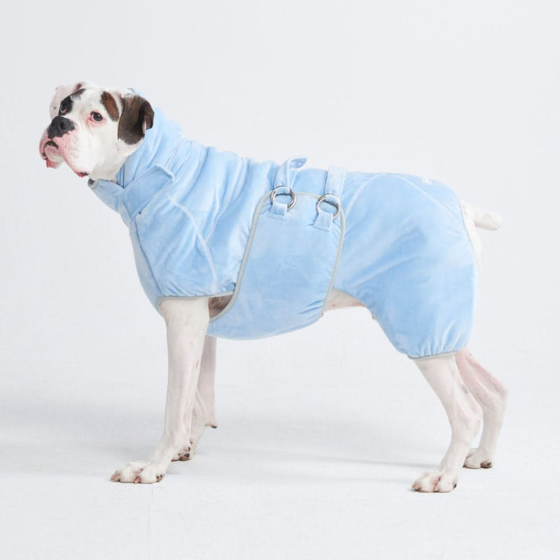 10 Minute Dry Dog Bathrobe