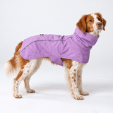 Dog Raincoat - Purple||size:2XL
