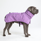 Dog Raincoat - Purple||size:4XL