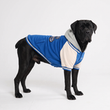 Blue Varsity Jacket||size:4XL
