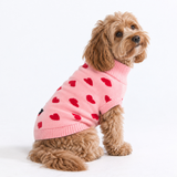 Hearts Dog Sweater||size:M