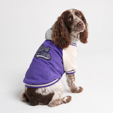 Purple Varsity Jacket||size:2XL