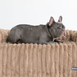 Cama de Lujo con Funda Protectora para Sofá - Marrón