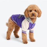 Purple Varsity Jacket||size:L