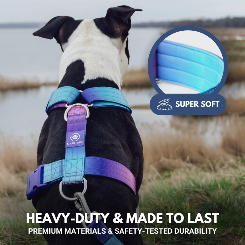 Comfort Control No-Pull Dog Harness - 90s Retro