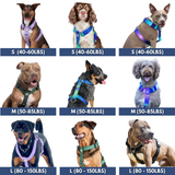 Pastel Icing Harness||size:S,M,L