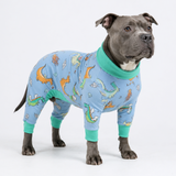 Dragons PJ||size:4XL