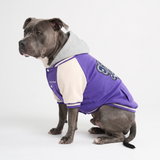 Purple Varsity Jacket||size:4XL