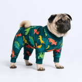 Dinosaurs PJ||size:L