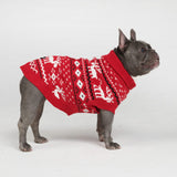 Knit Christmas Dog Sweater - Dasher Red