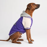 Purple Varsity Jacket||size:5XL