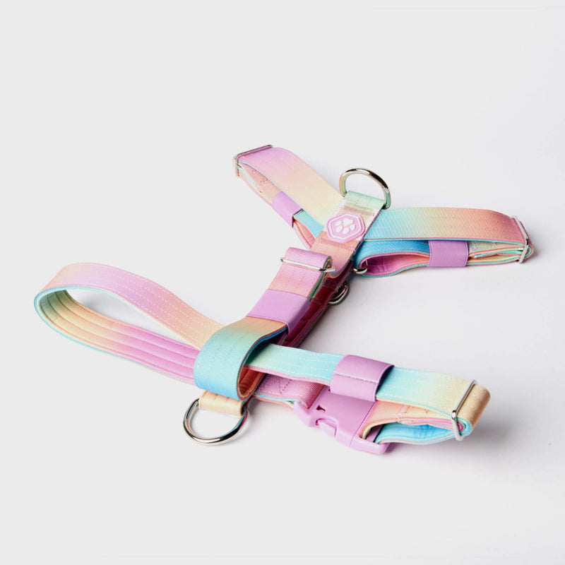 Pastel Icing Harness