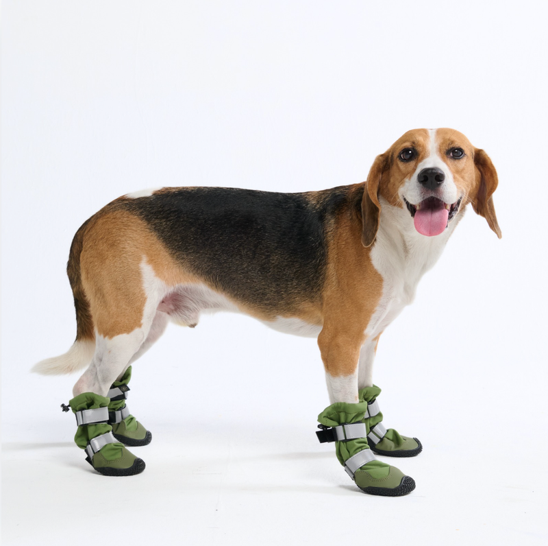 Flex Shell Water-resistant Dog Boots - Green