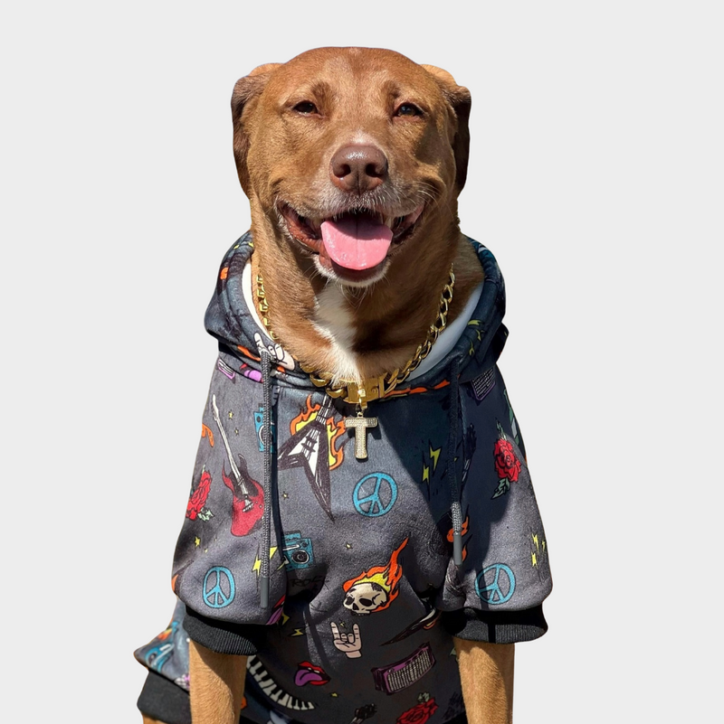 Rock and Roll Dog Hoodie