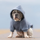 Essential Dog Hoodie - Slate Blue