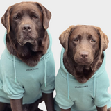 Essential Dog Hoodie - Teal