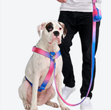 Comfort Control No-Pull Dog Harness - Snow Cone