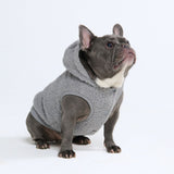 Chaqueta Teddy Sherpa - Gris plateado