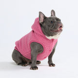 Jaquetas para cães Teddy Sherpa