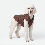 Brown Thermosonic Winter Jacket||size:2XL