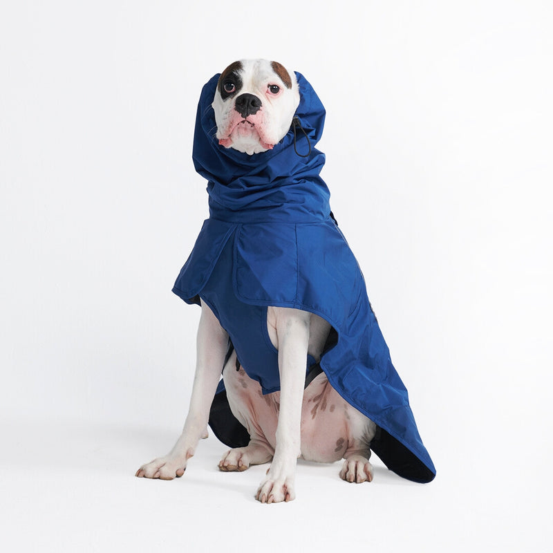 Dog Raincoat - Navy Blue