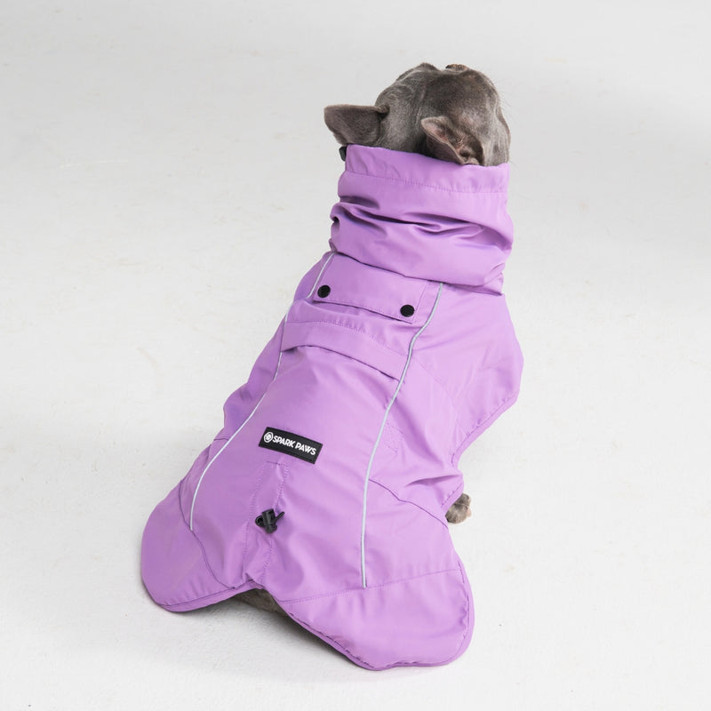 Dog Raincoat - Purple