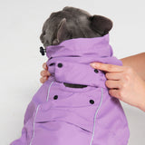 Dog Raincoat - Purple