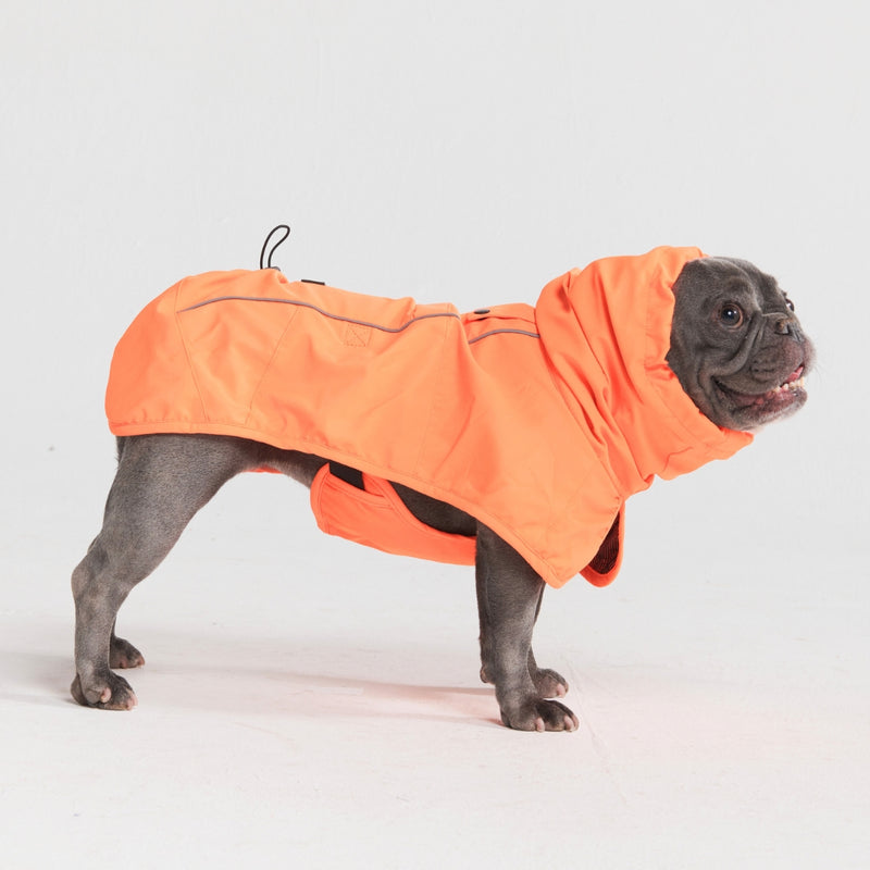 Dog Raincoat - Orange