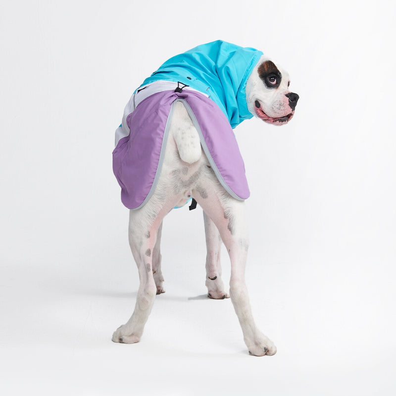 Dog Raincoat - Blue White Purple