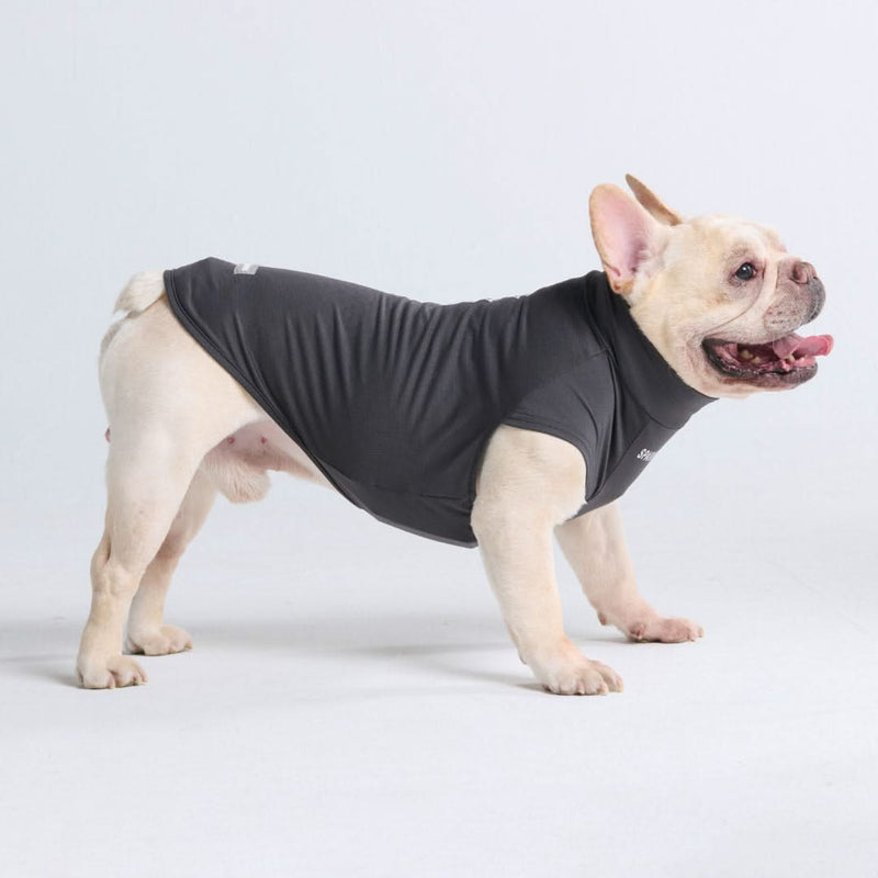 Sunblock Dog T-Shirt - Dark Grey