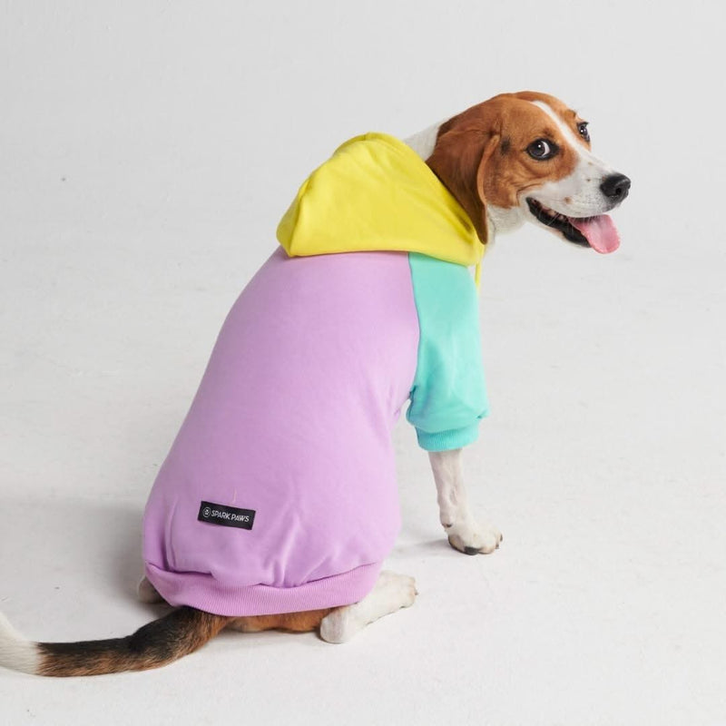 Purple Turquoise Yellow Dog Hoodie (SIZE S)