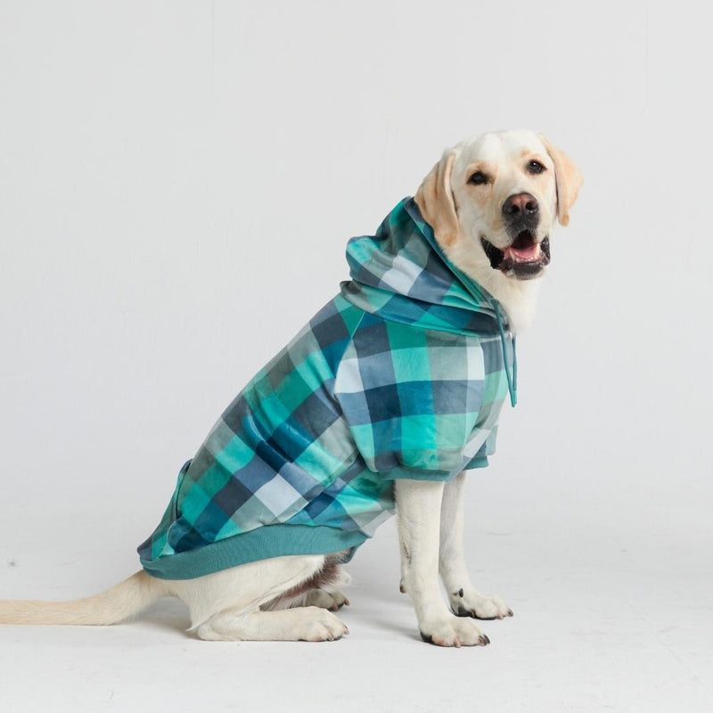 Velvet Dog Hoodie - Turquoise Checkered