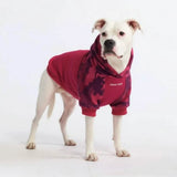 Fuchsia Camo Dog Hoodie