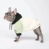 Olive Cream Hoodie